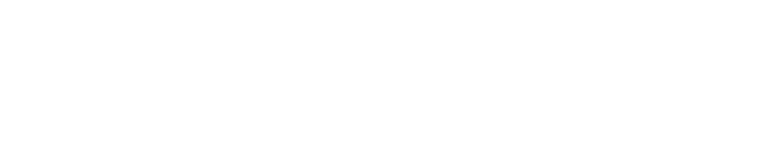 AEC — AEC, LLC
